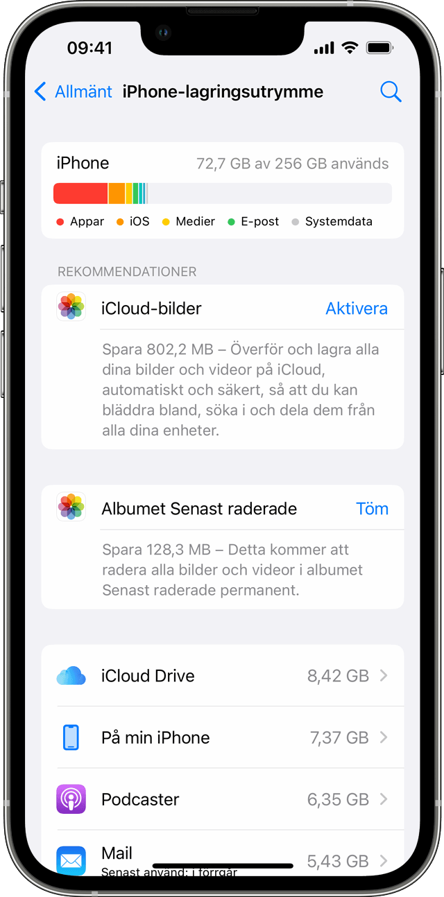 Vad tar mest plats på iPhone?