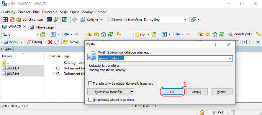 Jak umieścić pliki na serwerze?