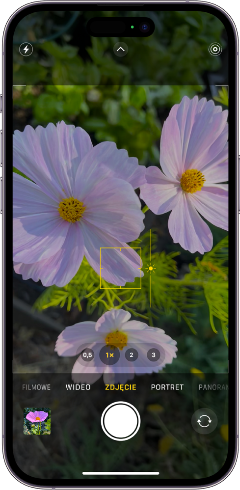 Jak ustawic 16 9 na stałe w iPhone?