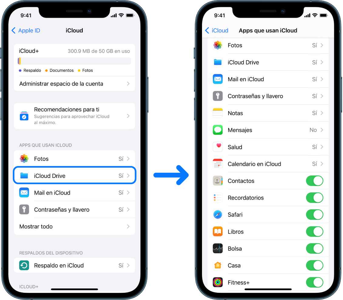 ¿Que se guarda en la cuenta de iCloud?
