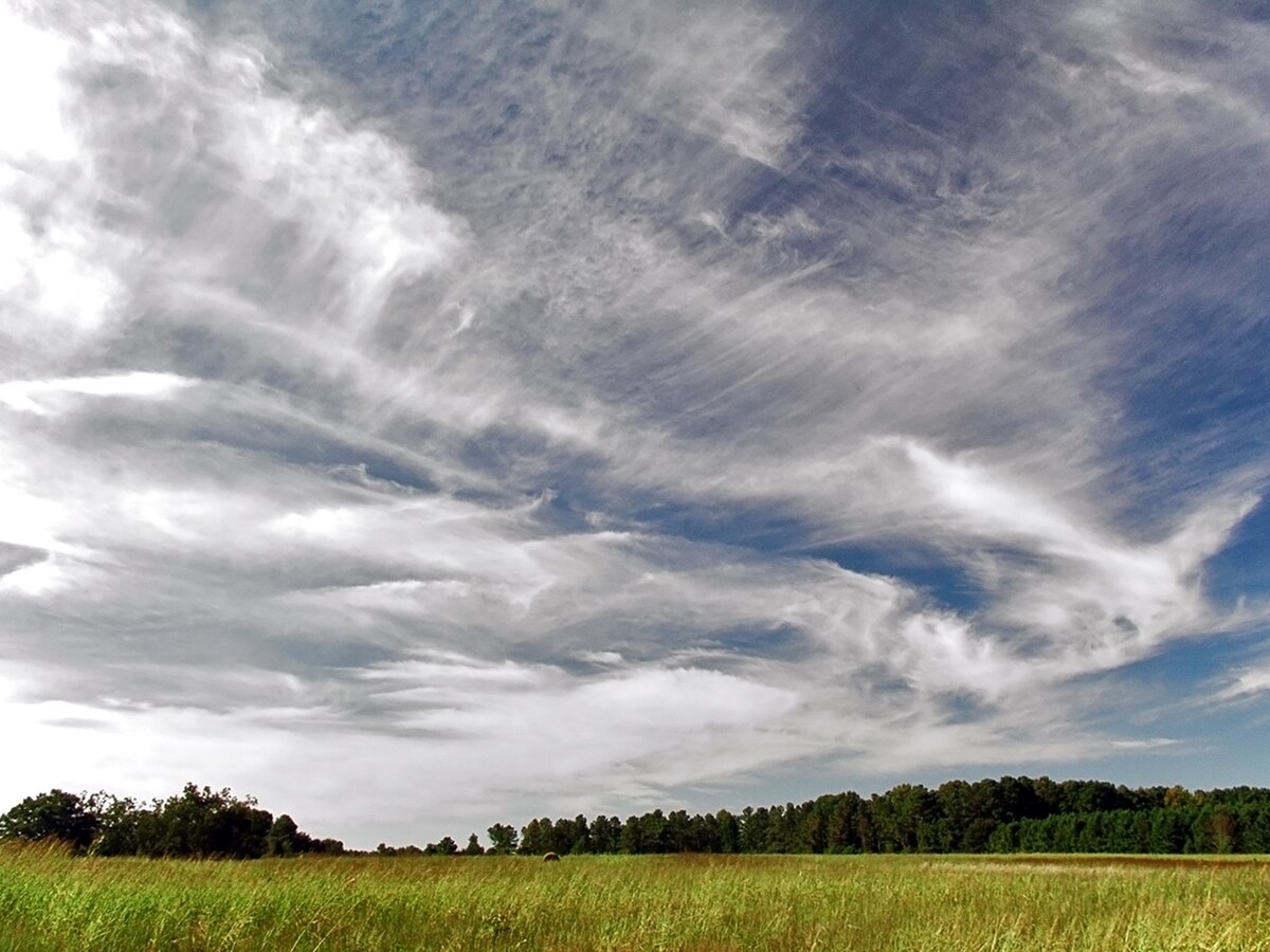Co to znaczy Cirrus?