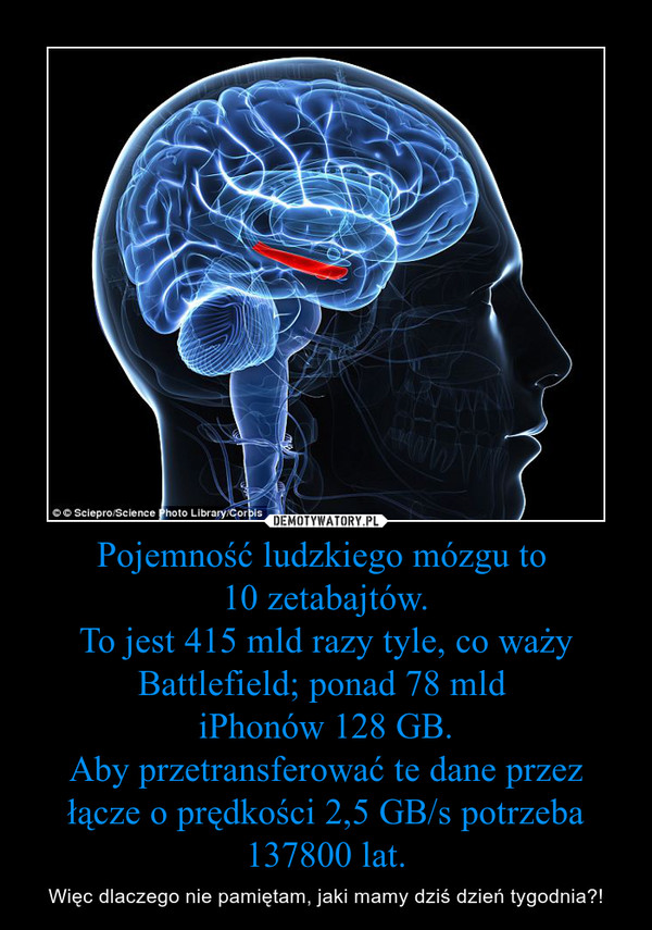 Jaka jest moc obliczeniową mózgu?