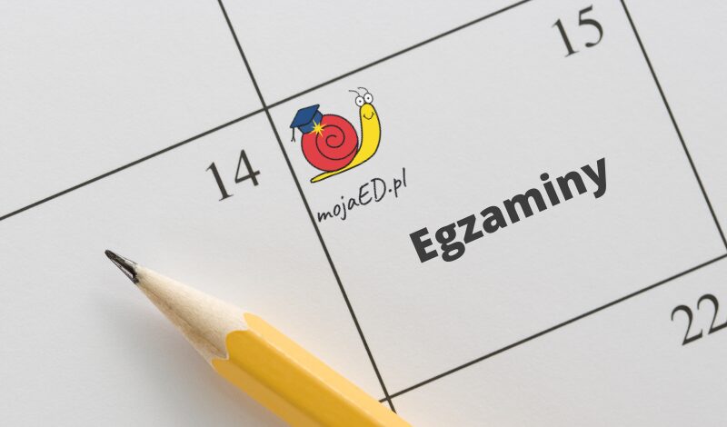 Z czego pisze się egzaminy na edukacji domowej?