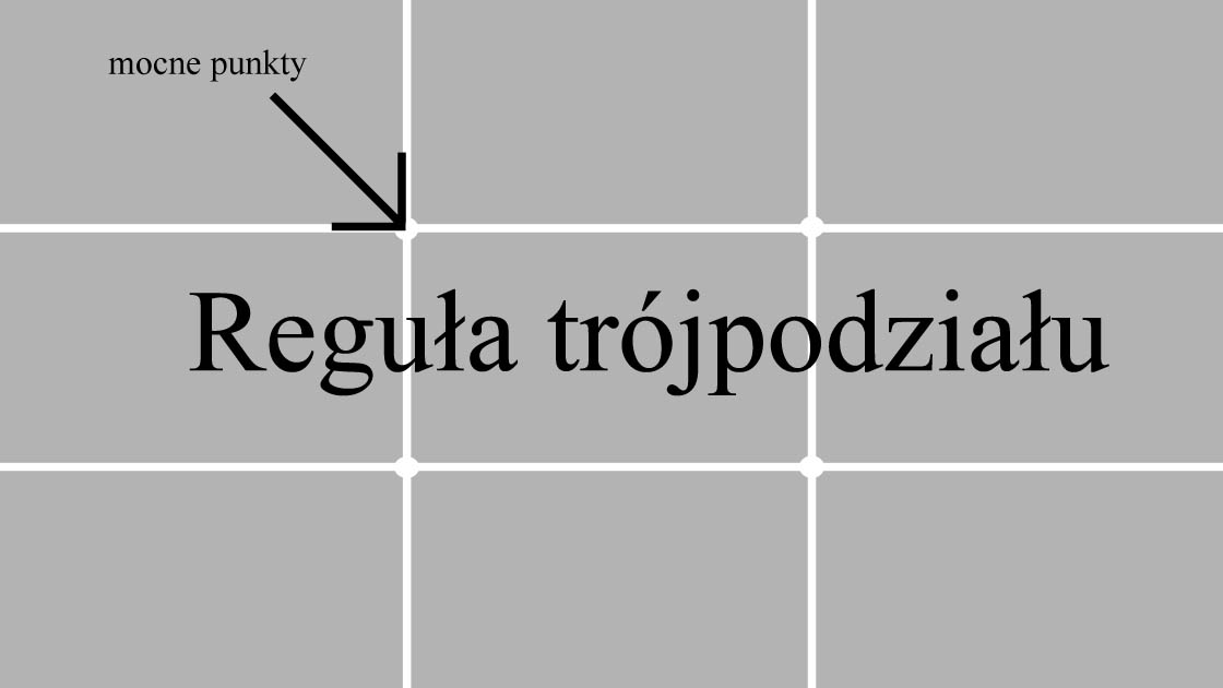 Po co są linie siatki w aparacie?